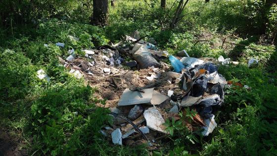 Coraz więcej śmieci na dzikich wysypiskach. Nielegalne instalacje są zagrożeniem dla przyrody 