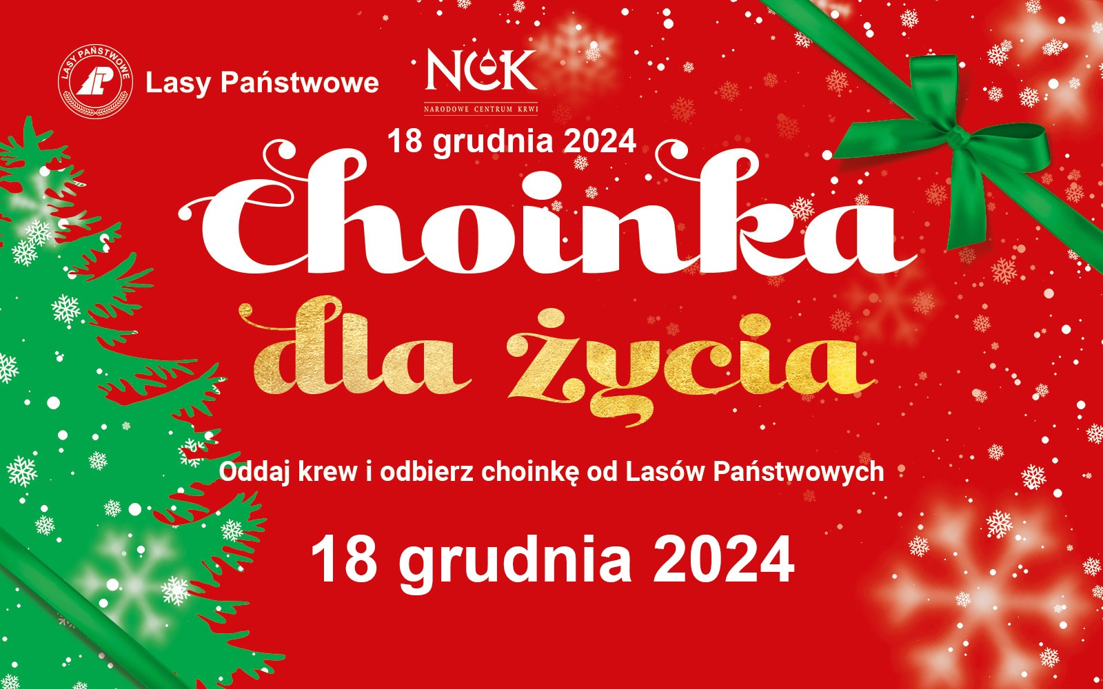 Rusza akcja „Choinka dla życia”- podaruj krew, odbierz świąteczne drzewko od leśników