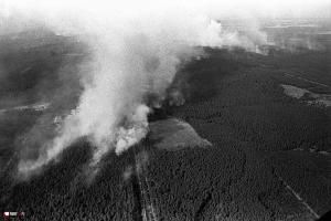 29 lat po pożarze lasów w Kuźni Raciborskiej