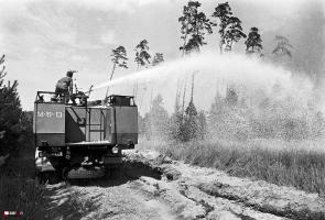 29 lat po pożarze lasów w Kuźni Raciborskiej