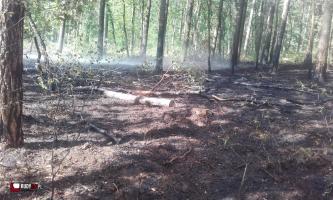 Pożaru lasu w leśnictwie Szymocice
