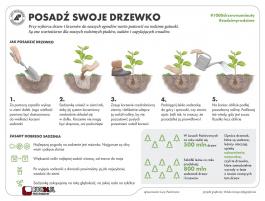 Przyłącz się do ogólnopolskiej akcji #sadziMY i posadź własne drzewko!