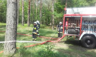 Odbyły się ćwiczenia wojewódzkie straży pożarnej w rudzkich lasach